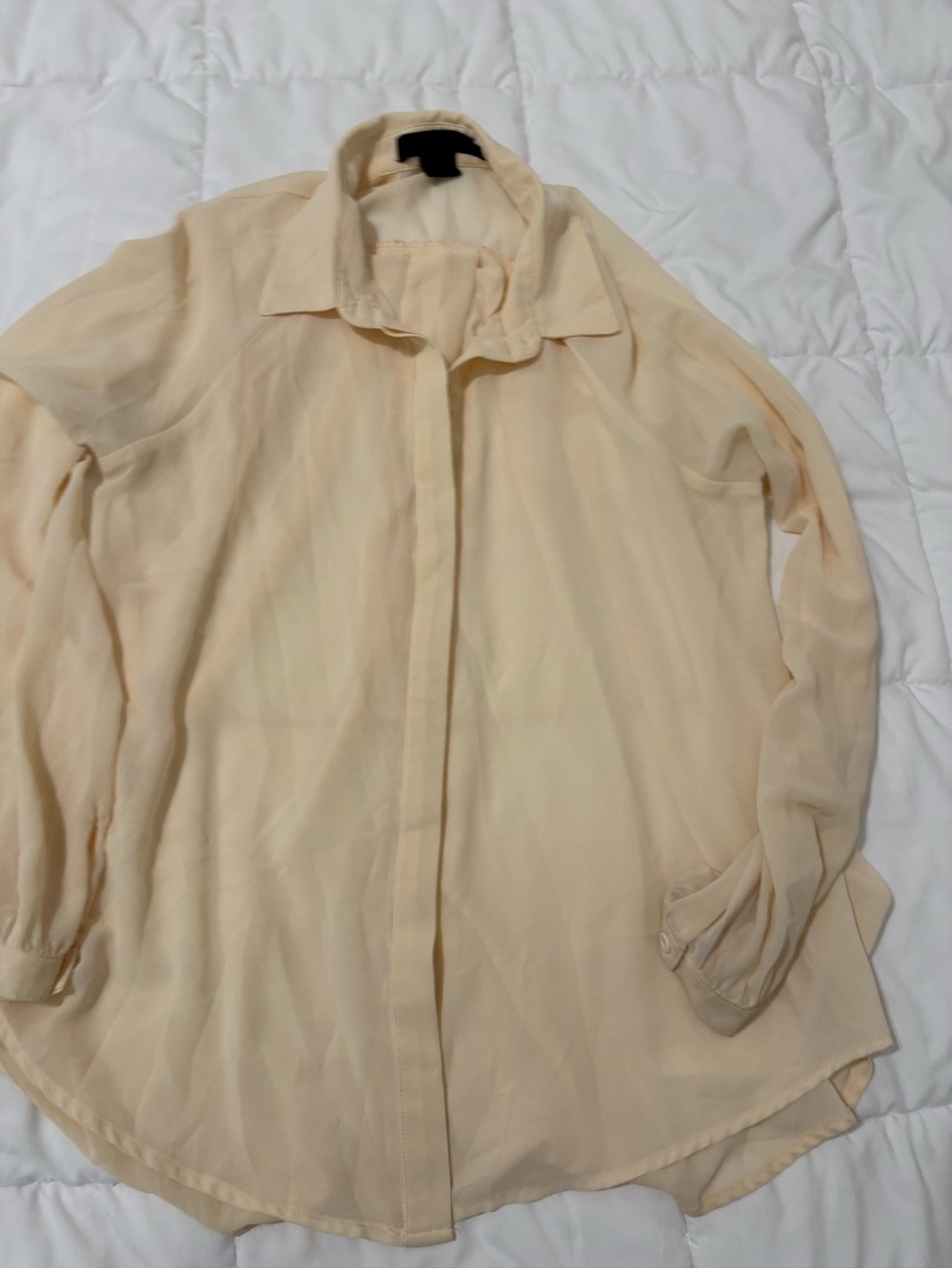 Ovi Sheer Cream Button-Up Blouse
